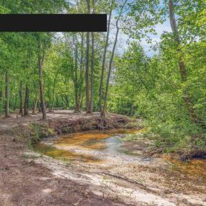 Photo #2 of LOT 2 SHARPS CREEK RD, SCOTTSVILLE, VA 65.9 acres
