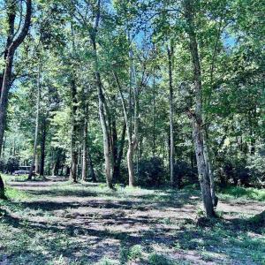 Photo #41 of LOT 2 SHARPS CREEK RD, SCOTTSVILLE, VA 65.9 acres