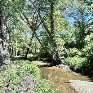 Photo #43 of LOT 2 SHARPS CREEK RD, SCOTTSVILLE, VA 65.9 acres