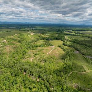 Photo #6 of LOT 2 SHARPS CREEK RD, SCOTTSVILLE, VA 65.9 acres