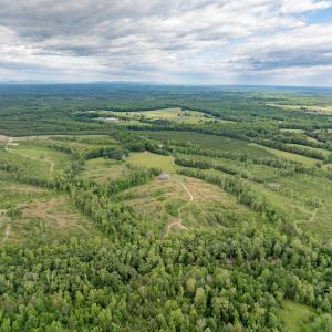 Photo #23 of LOT 2 SHARPS CREEK RD, SCOTTSVILLE, VA 65.9 acres