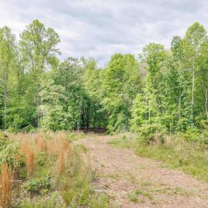 Photo #18 of LOT 2 SHARPS CREEK RD, SCOTTSVILLE, VA 65.9 acres