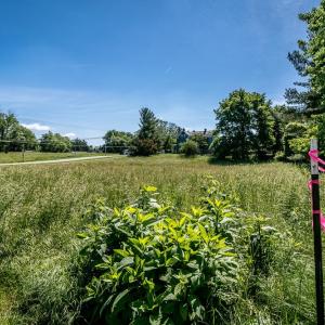 Photo #7 of TBD 300 Block 3RD ST, GROTTOES, VA 0.7 acres
