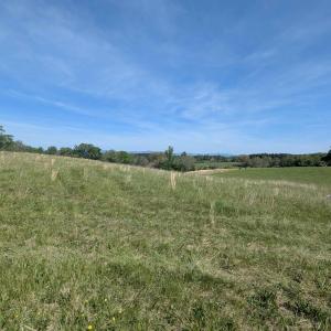 Photo #10 of Lot 6 ADVANCE MILLS RD, RUCKERSVILLE, VA 2.5 acres