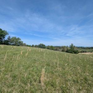 Photo #9 of Lot 6 ADVANCE MILLS RD, RUCKERSVILLE, VA 2.5 acres