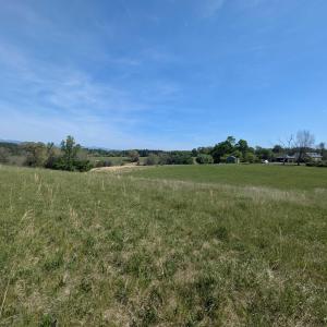 Photo #8 of Lot 6 ADVANCE MILLS RD, RUCKERSVILLE, VA 2.5 acres