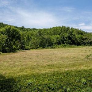 Photo #7 of 91 KIDD LN, ROSELAND, VA 54.3 acres