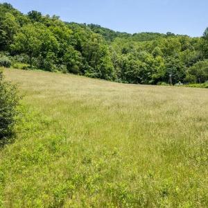 Photo #17 of 91 KIDD LN, ROSELAND, VA 54.3 acres