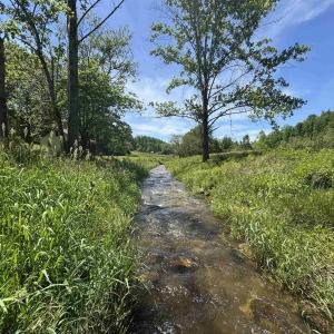 Photo #36 of 91 KIDD LN, ROSELAND, VA 54.3 acres