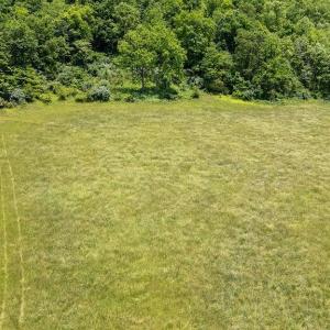 Photo #18 of 91 KIDD LN, ROSELAND, VA 54.3 acres