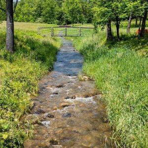 Photo #33 of 91 KIDD LN, ROSELAND, VA 54.3 acres