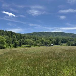 Photo #42 of 91 KIDD LN, ROSELAND, VA 54.3 acres