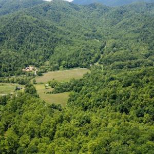Photo #24 of 91 KIDD LN, ROSELAND, VA 54.3 acres