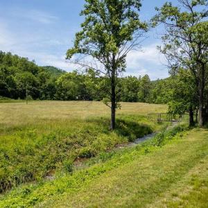 Photo #11 of 91 KIDD LN, ROSELAND, VA 54.3 acres