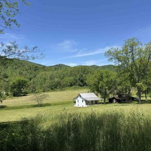 Photo #40 of 91 KIDD LN, ROSELAND, VA 54.3 acres