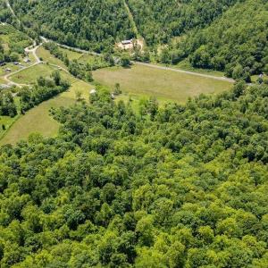 Photo #25 of 91 KIDD LN, ROSELAND, VA 54.3 acres