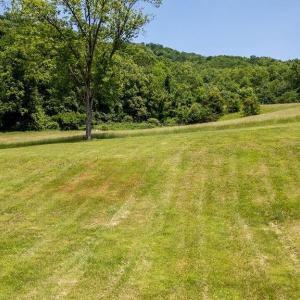 Photo #13 of 91 KIDD LN, ROSELAND, VA 54.3 acres
