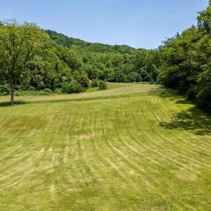 Photo #6 of 91 KIDD LN, ROSELAND, VA 54.3 acres