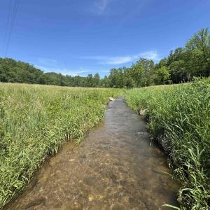 Photo #37 of 91 KIDD LN, ROSELAND, VA 54.3 acres