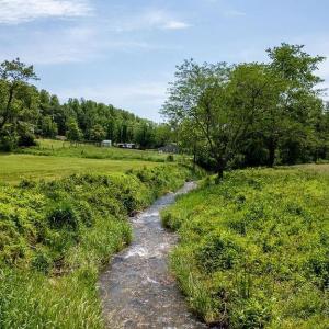 Photo #35 of 91 KIDD LN, ROSELAND, VA 54.3 acres