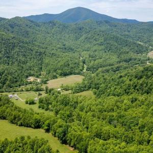 Photo #23 of 91 KIDD LN, ROSELAND, VA 54.3 acres