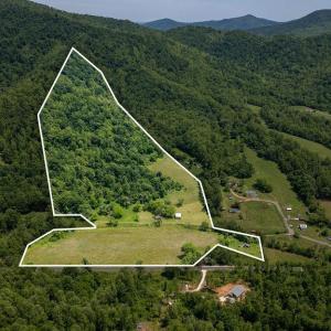 Photo #3 of 91 KIDD LN, ROSELAND, VA 54.3 acres