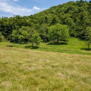 Photo #31 of 91 KIDD LN, ROSELAND, VA 54.3 acres