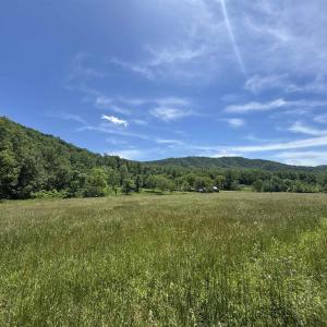 Photo #43 of 91 KIDD LN, ROSELAND, VA 54.3 acres