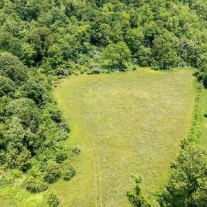 Photo #19 of 91 KIDD LN, ROSELAND, VA 54.3 acres