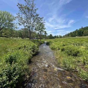 Photo #2 of 91 KIDD LN, ROSELAND, VA 54.3 acres