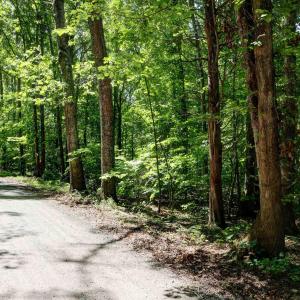 Photo #2 of LOT E LINK EVANS LN, EARLYSVILLE, VA 5.2 acres