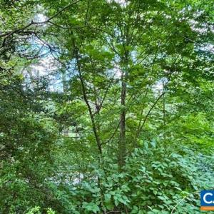 Photo #5 of 1426 DAIRY RD, CHARLOTTESVILLE, VA 0.5 acres