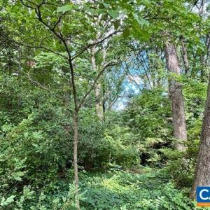 Photo #7 of 1426 DAIRY RD, CHARLOTTESVILLE, VA 0.5 acres