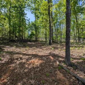 Photo #3 of Lot 10 ADVANCE MILLS RD, RUCKERSVILLE, VA 3.6 acres