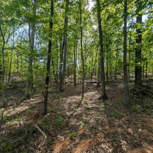 Photo #2 of Lot 10 ADVANCE MILLS RD, RUCKERSVILLE, VA 3.6 acres