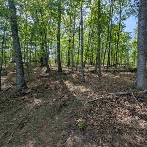 Photo #4 of Lot 10 ADVANCE MILLS RD, RUCKERSVILLE, VA 3.6 acres