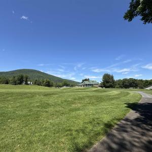 Photo #10 of 99 BLUE CHICKORY CT, NELLYSFORD, VA 1.1 acres