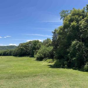 Photo #8 of 99 BLUE CHICKORY CT, NELLYSFORD, VA 1.1 acres