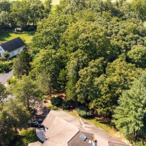 Photo #18 of 99 BLUE CHICKORY CT, NELLYSFORD, VA 1.1 acres