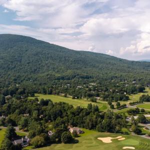Photo #35 of 99 BLUE CHICKORY CT, NELLYSFORD, VA 1.1 acres
