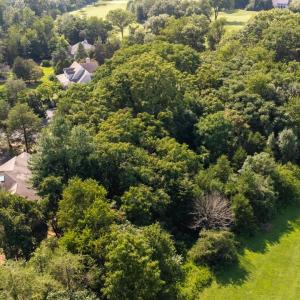 Photo #19 of 99 BLUE CHICKORY CT, NELLYSFORD, VA 1.1 acres