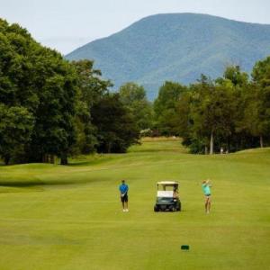 Photo #57 of 99 BLUE CHICKORY CT, NELLYSFORD, VA 1.1 acres