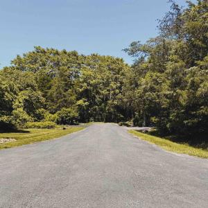 Photo #4 of 99 BLUE CHICKORY CT, NELLYSFORD, VA 1.1 acres