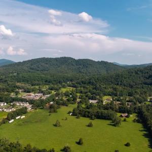 Photo #32 of 99 BLUE CHICKORY CT, NELLYSFORD, VA 1.1 acres