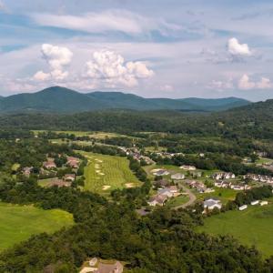 Photo #31 of 99 BLUE CHICKORY CT, NELLYSFORD, VA 1.1 acres