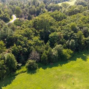 Photo #20 of 99 BLUE CHICKORY CT, NELLYSFORD, VA 1.1 acres