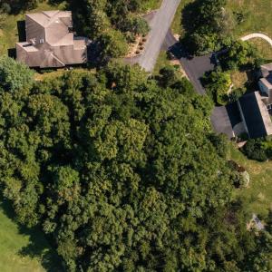 Photo #44 of 99 BLUE CHICKORY CT, NELLYSFORD, VA 1.1 acres