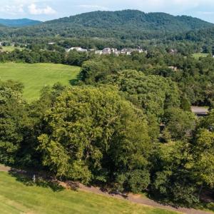 Photo #26 of 99 BLUE CHICKORY CT, NELLYSFORD, VA 1.1 acres