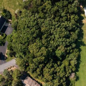 Photo #43 of 99 BLUE CHICKORY CT, NELLYSFORD, VA 1.1 acres