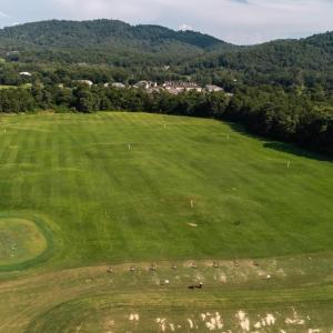 Photo #52 of 99 BLUE CHICKORY CT, NELLYSFORD, VA 1.1 acres